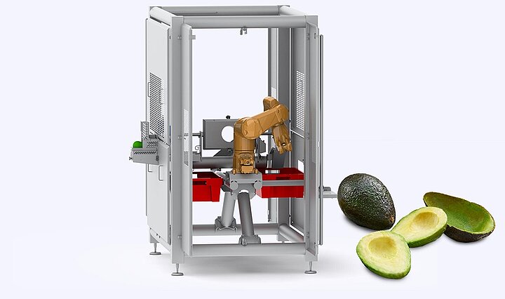 Forschungsprojekt zur Verarbeitung von Avocados mithilfe von Robotern