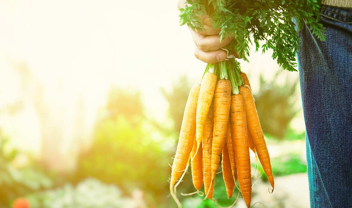 KRONEN Citrocide: Domaines d'application et rentabilité : homologué pour les aliments issus de l'agriculture biologique, conforme aux réglementations européennes et américaines