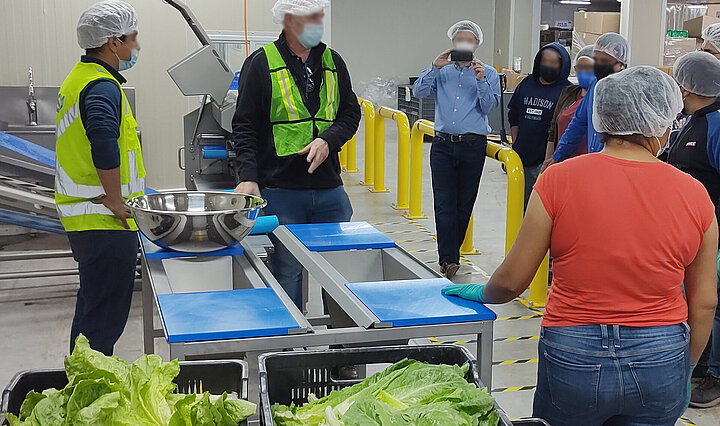 Mise en service réussie d'une chaîne de transformation de salades au Mexique