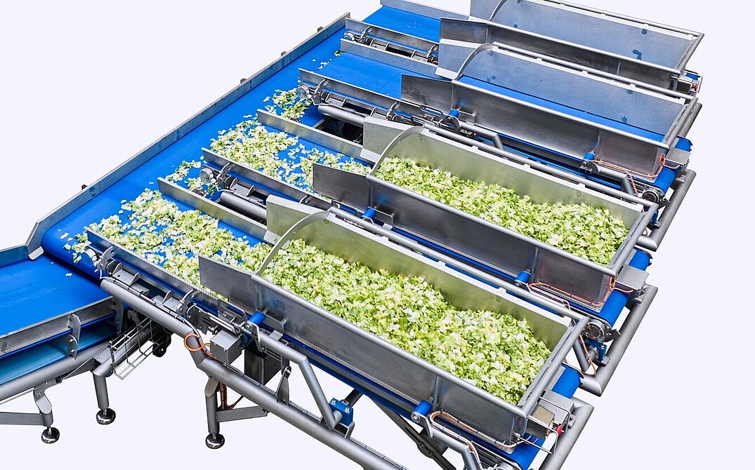 Chaîne de transformation : système dynamique intégré de pesage-recette Flow Weigh Belt System de Synergy System, un partenaire de KRONEN, par exemple pour les salades, les légumes et les fruits