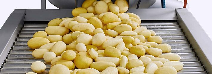 La qualité des pommes de terre épluchées peut être contrôlée sur la table de tri à rouleaux RVT.