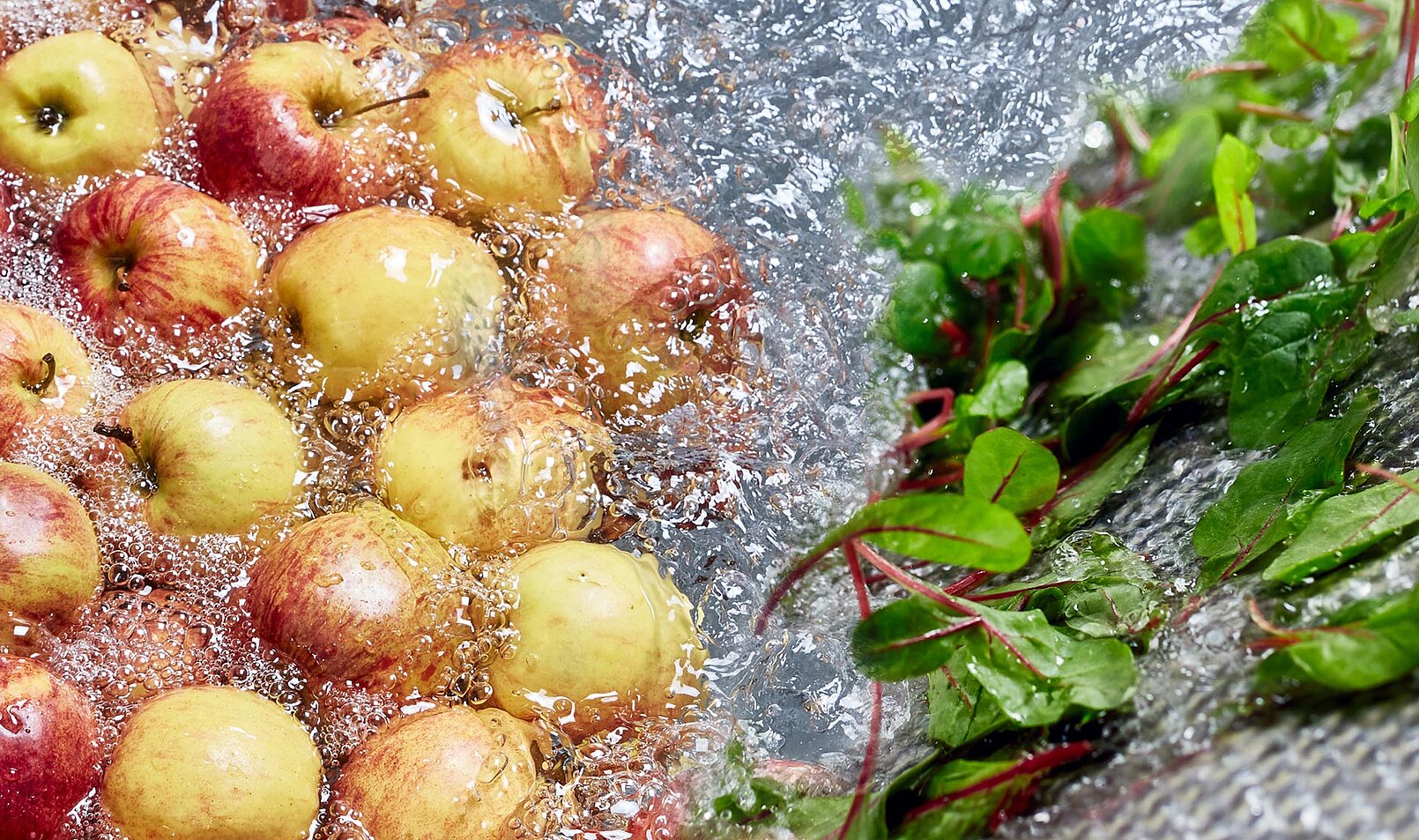 Désinfection à l'acide peracétique sans chlore : CITROCIDE® PLUS