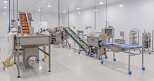 Verarbeitungslinien von Kronen bei Comepar S.A.