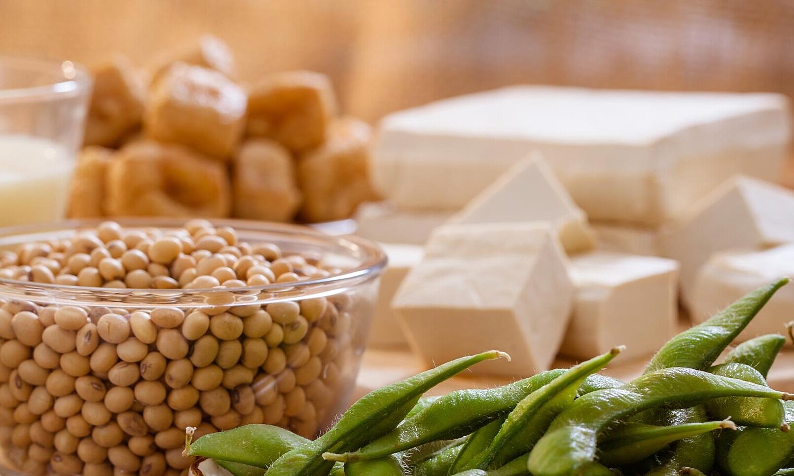 KRONEN Nahrungsmitteltechnik: vegane Produkte verarbeiten, z.B. Schneiden oder Rupfen von Soja- und Erbsenproteinplatten