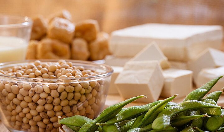 KRONEN Nahrungsmitteltechnik: vegane Produkte verarbeiten, z.B. Schneiden oder Rupfen von Soja- und Erbsenproteinplatten