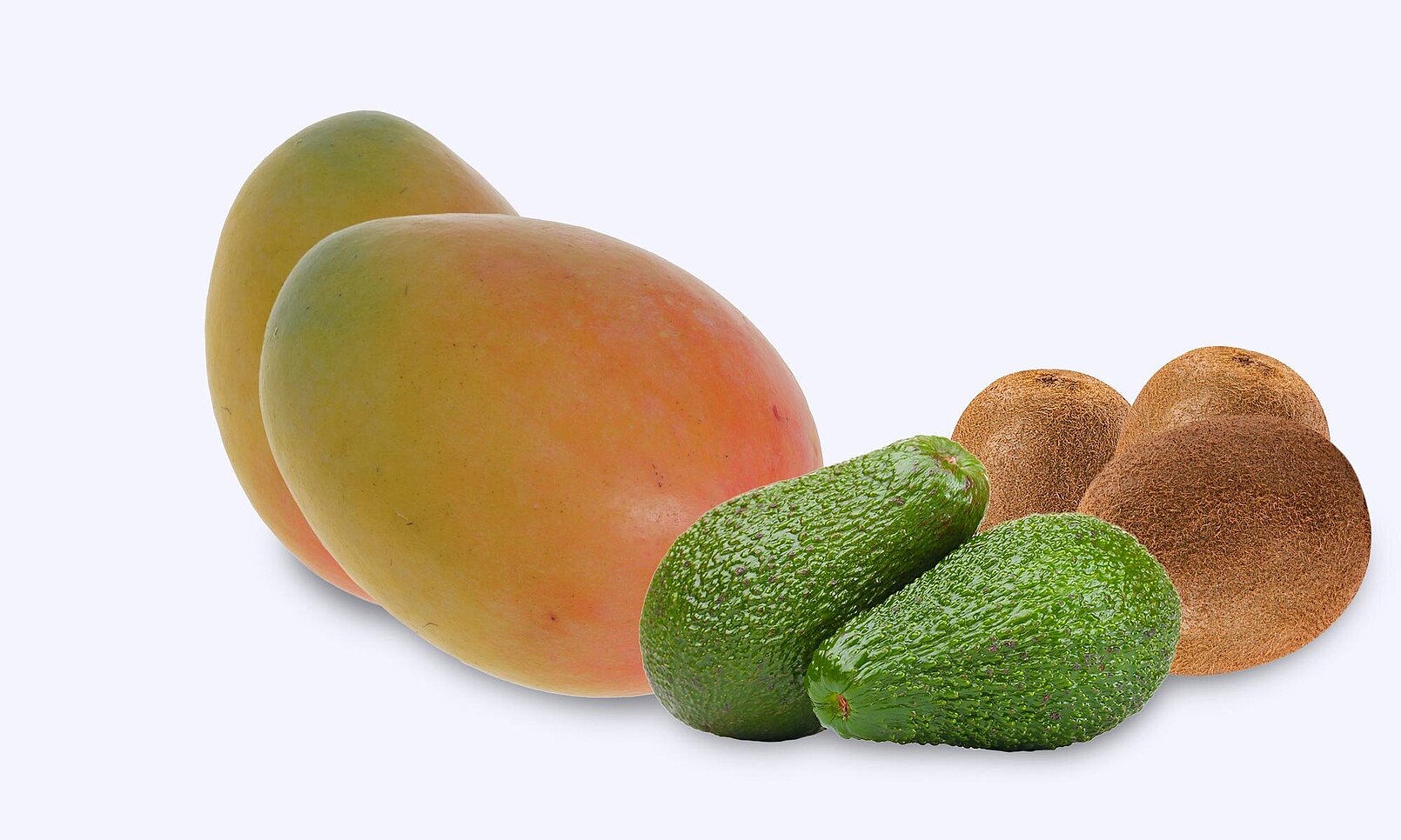 Forschungsprojekt VitERz.fruit zur Bestimmung des Reifezustands bei ganzen Früchten