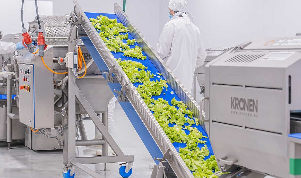 Linie zur Salatverarbeitung bei Comepar S.A.