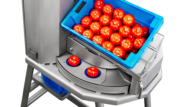 Les tomates sont placées alignées dans les réceptacles de produits de la Tona V et sont ainsi transportées jusqu'au processus de découpe.