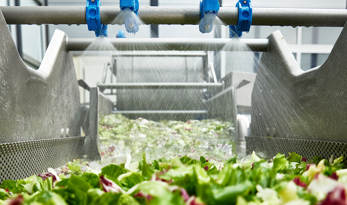 Gartenfrisch Jung verarbeitet verschiedene Produkte mit KRONEN Maschinen.