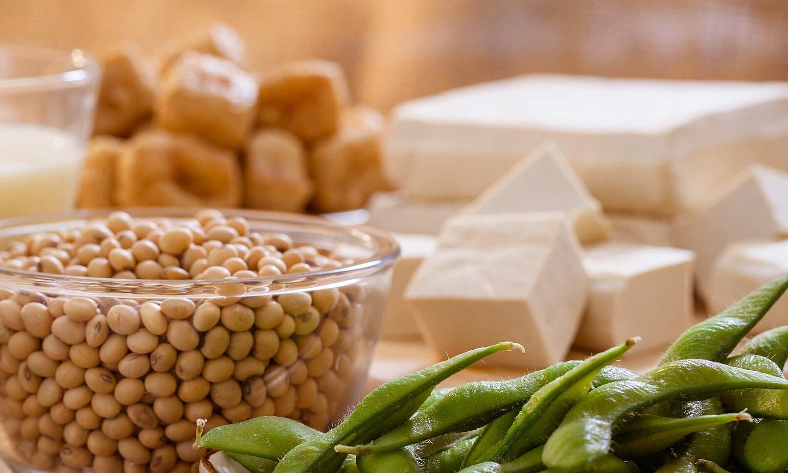 Technologie alimentaire KRONEN : transformation de produits végétaliens, par exemple découpe ou effilochage de plaques de protéines de soja et de pois