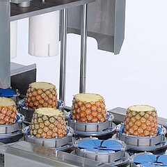 Des supports de produits spécialement adaptés aux produits plus grands, comme les ananas, assurent leur alignement optimal lors de la coupe dans la Tona Rapid XL.