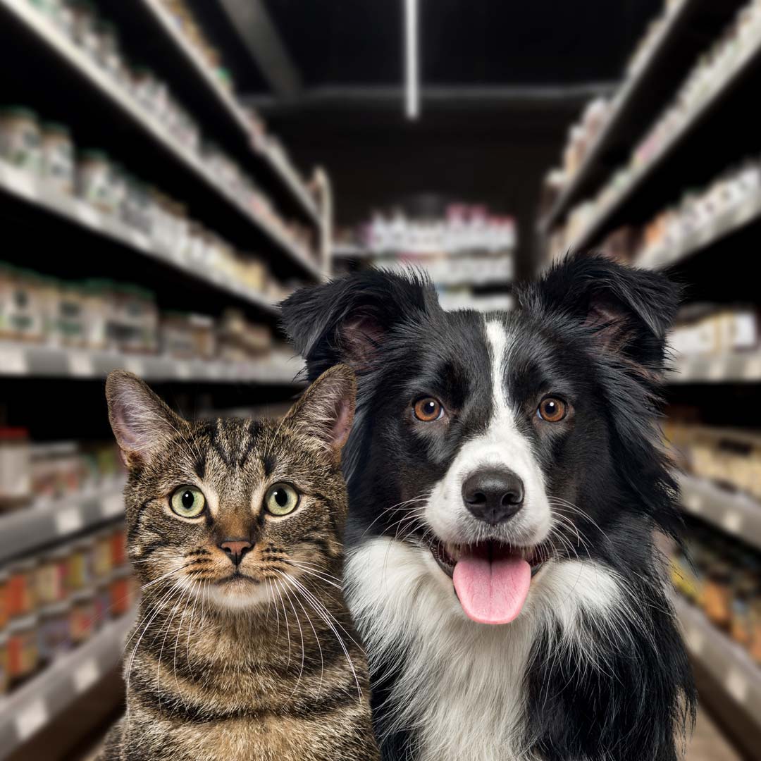 Technologie alimentaire KRONEN : solutions sur mesure pour la transformation en continu d'aliments pour animaux/de nourriture pour animaux et de produits de soins dentaires pour animaux